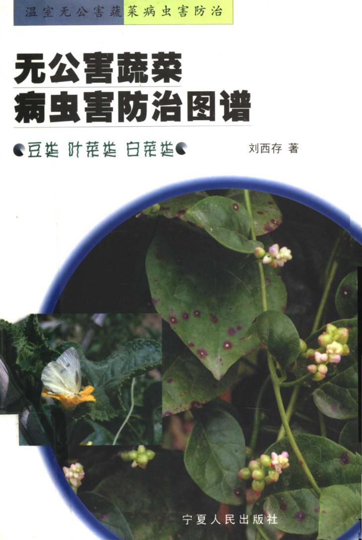 无公害蔬菜病虫害防治图谱  豆类  叶菜类  白菜类 封面