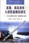 滨海、海岛海水入侵数值模拟研究  以山东烟台市和广西涠洲岛为例 封面