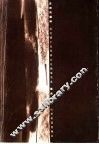 日神与酒神 封面