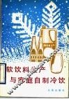 软饮料生产与家庭自制冷饮 封面