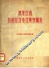 黑龙江省农村经济变化典型调查 封面
