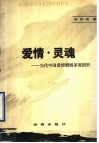 爱情·灵魂  当代中国爱情婚姻家庭剖析 封面