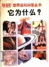 它为什么? 封面