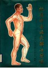 标准针灸经穴部位图谱 封面