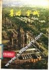 喜游“金城” 电子书封面