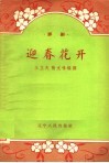 评剧  迎春花开 封面