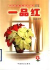 一品红 封面