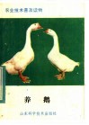 养鹅 封面