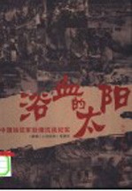 浴血的太阳  中国远征军赴缅抗战纪实 封面