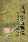 诗词语言概说：怎样阅读古典诗词 封面