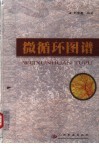微循环图谱 封面