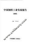 中国钢铁工业发展报告  2005 封面
