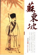 苏东坡 封面