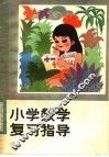 小学数学复习指导 封面