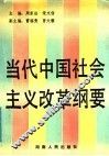 当代中国社会主义改革纲要 电子书封面