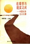 在理想与现实之间  中国社会主义之路 封面