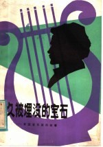 久被埋没的宝石  外国音乐家的故事 封面