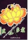 新花朵朵  儿童歌舞专辑 封面