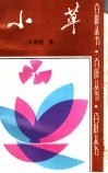 小草 封面