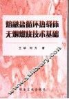 熔融盐循环热载体无烟燃烧技术基础 封面