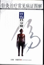 针灸治疗常见病证图解  骨伤科分册 封面