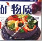 矿物质 封面