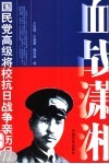 血战潇湘  第2版 封面