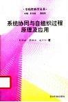 系统协同与自组织过程原理及应用 封面
