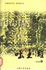 吐玉滩  第2版 封面