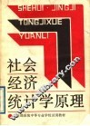 社会经济统计学原理 封面