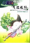 小无知气球旅行 封面