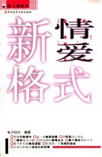 新情爱格式 封面