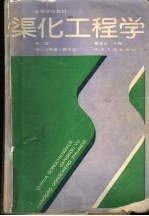 渠化工程学 封面