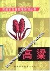 高梁 电子书封面