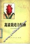 高梁栽培与制种 电子书封面