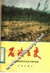 石滩巨变：运城且绿化百里乱石滩的事迹 封面