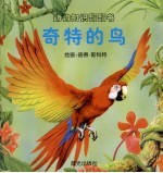 奇特的鸟 封面