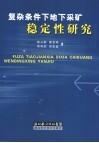 复杂条件下地下采矿稳定性研究 封面