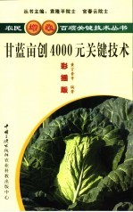 甘蓝亩产4000元关键技术  彩插版 封面
