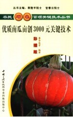 优质南瓜亩创3000元关键技术  彩插版 封面