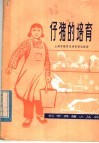 仔猪的培育 封面