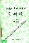 中图分类标准著录实例选 封面