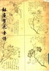 龢庵百花画谱 封面