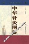 中华针灸图鉴 封面