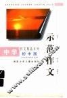 示范作文  初中版 封面