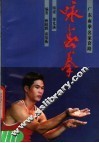 咏春拳 封面