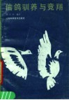 信鸽驯养与竞翔 封面