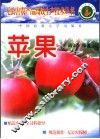 苹果 封面