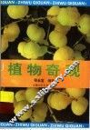 植物奇观 封面