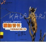 猫鼬情怀  卡拉哈迪沙漠六年 封面